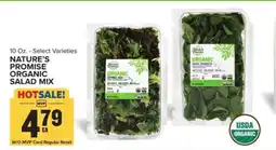 Food Lion Nature's Promise Organic Salad Mix offer