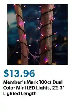 Sam's Club Member's Mark 100ct Dual Color Mini LED Lights, 22.3' Lighted Length offer