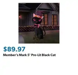 Sam's Club Member's Mark 5' Pre-Lit Black Cat offer