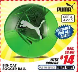 Big 5 Puma Big Cat Soccer Ball offer