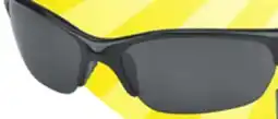Big 5 Nike Skylon Exp 2 Polarized Sunglasses offer