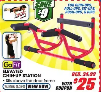 Big 5 GoFit Elevated Chin-Up Station offer