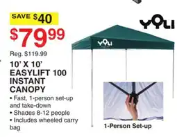 Dunham's Sports 10' X 10' EASYLIFT 100 INSTANT CANOPY offer