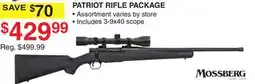 Dunham's Sports PATRIOT RIFLE PACKAGE offer