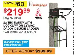 Dunham's Sports 22' BIG DADDY WITH LOCKJAW OR 22' MAC DADDY DELUXE LADDER offer