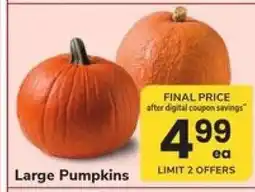 Safeway Large Pumpkins offer