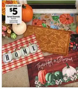 Dollar General Harvest Doormats offer