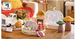 Dollar General Harvest Home Decor offer