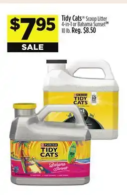 Dollar General Tidy Cats Scoop Litter offer