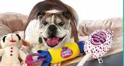 Boscov's ENTIRE STOCK Pet Beds offer