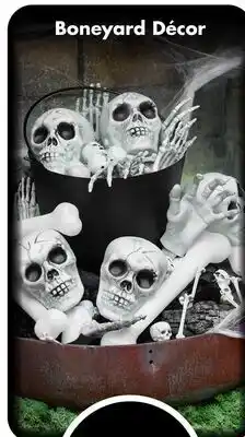 Dollar Tree Boneyard Décor offer