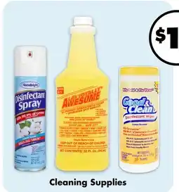 Dollar Tree Cleaning Supplies offer