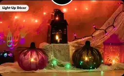 Dollar Tree Light-Up Décor offer