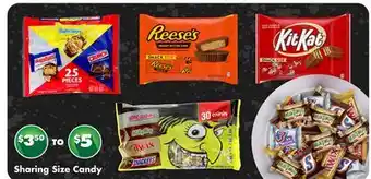 Dollar Tree Sharing Size Candy offer