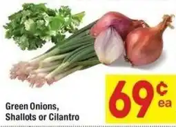 Albertsons Green Onions, Shallots or Cilantro offer