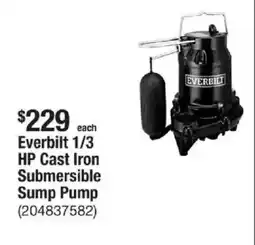 The Home Depot Everbilt 1/3 HP Cast Iron Submersible Sump Pump offer