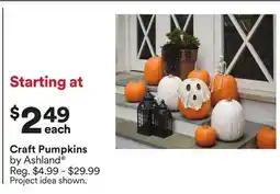 Michaels Craft pumpkins by Ashland offer