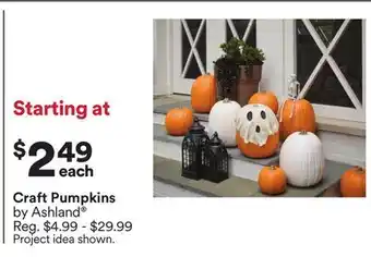 Michaels Craft pumpkins by Ashland offer