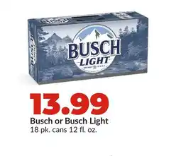 Hy-Vee Busch or Busch Light offer