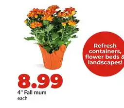 Hy-Vee 4 Fall mum offer