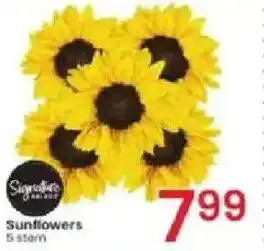 Albertsons Sunflowers offer