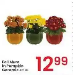 Albertsons Fall Mum in Pumpkin Ceramic offer