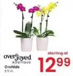 Albertsons Orchids offer