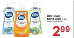 Albertsons Dial Liquid Hand Soap offer