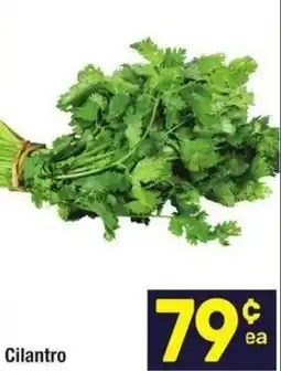 Albertsons Cilantro offer
