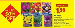 Lidl fall bulbs offer