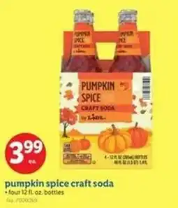 Lidl Pumpkin spice craft soda offer
