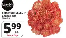 Albertsons Signature SELECT Carnations Claveles offer