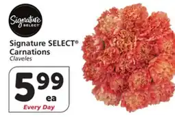 Vons Signature SELECT Carnations offer