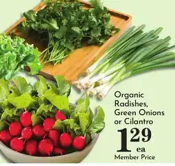 Pavilions Organic Radishes, Green Onions or Cilantro offer