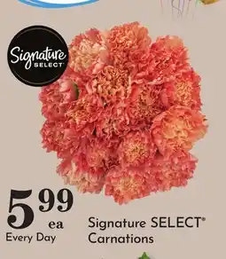 Pavilions Signature SELECT Carnations offer