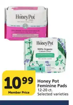 Pavilions Honey Pot Feminine Pads offer