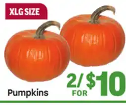 Tony’s Fresh Market Pumpkins offer