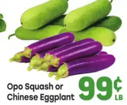 Tony’s Fresh Market Opo Squash or Chinese Eggplant offer