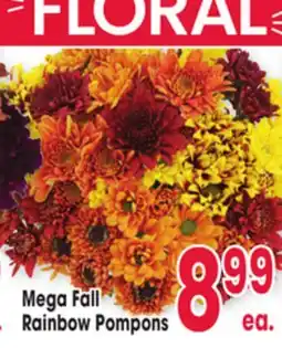 Jewel-Osco Mega Fall Rainbow Pompons offer