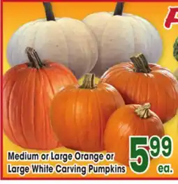 Jewel-Osco Orange or Large White Carving Pumpkins offer