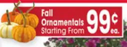 Jewel-Osco Fall Ornamentals offer