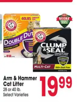 Jewel-Osco Arm & Hammer Cat Litter offer