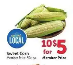 Safeway Sweet Corn offer