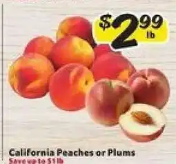 Winn Dixie California Peaches or Plums offer