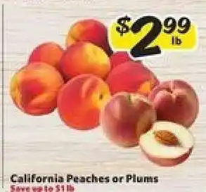 Winn Dixie California Peaches or Plums offer