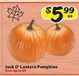 Winn Dixie Jack-O-Lantern Pumpkins offer