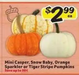 Winn Dixie Mini Casper, Snow Baby, Orange Sparkler or Tiger Stripe Pumpkins offer