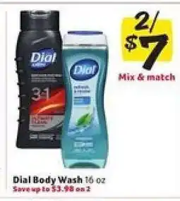 Winn Dixie Dial Body Wash offer
