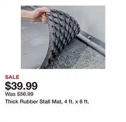 Tractor Supply Company Thick Rubber Stall Mat, 4 ft. x 6 ft offer