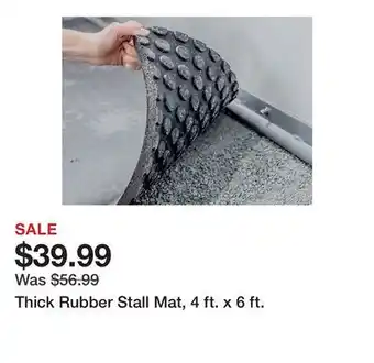 Tractor Supply Company Thick Rubber Stall Mat, 4 ft. x 6 ft offer